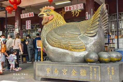 金雞怎麼養|南投竹山紫南宮官方網站